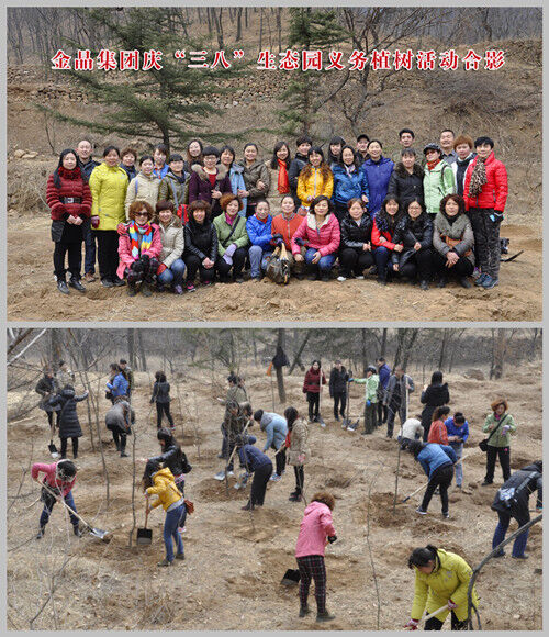 333体育集团庆“三八”生态园义务植树